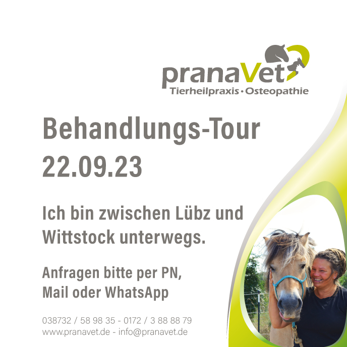 Meiklyn Strandt, pranaVet Pferdeosteopathie, Tierheilpaktiker, Tierheilpraxis, Osteopath für Pferd und Hund