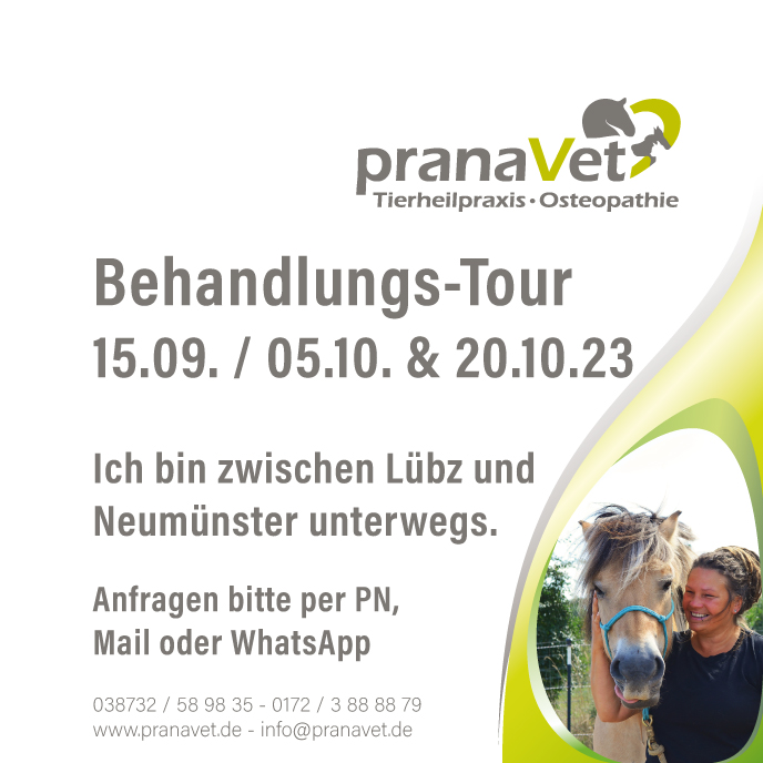 Meiklyn Strandt, pranaVet Pferdeosteopathie, Tierheilpaktiker, Tierheilpraxis, Osteopath für Pferd und Hund