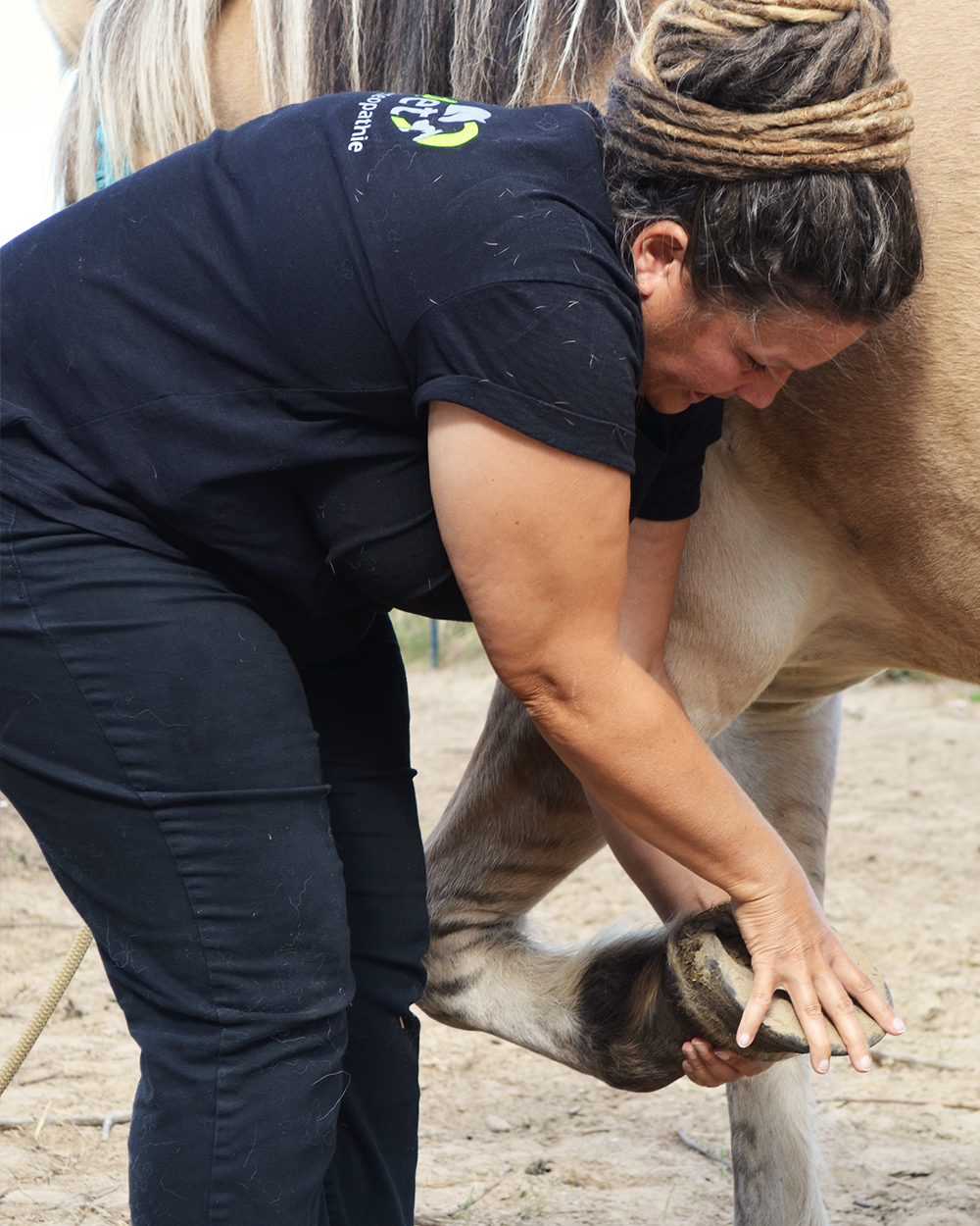 Meiklyn Strandt, pranaVet Pferdeosteopathie, Tierheilpaktiker, Tierheilpraxis, Osteopath für Pferd und Hund