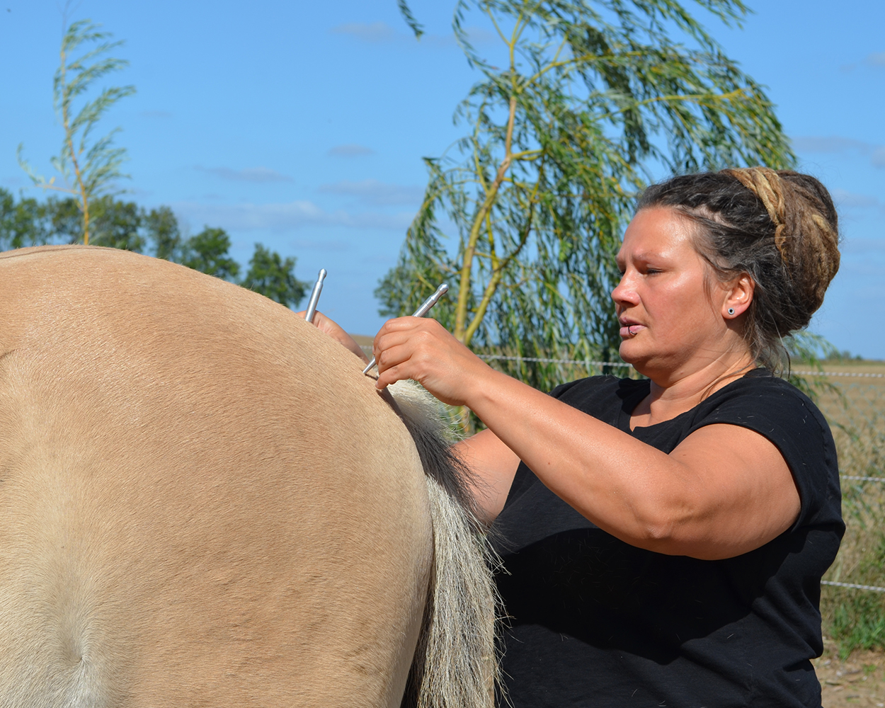 Meiklyn Strandt, pranaVet Pferdeosteopathie, Tierheilpaktiker, Tierheilpraxis, Osteopath für Pferd und Hund